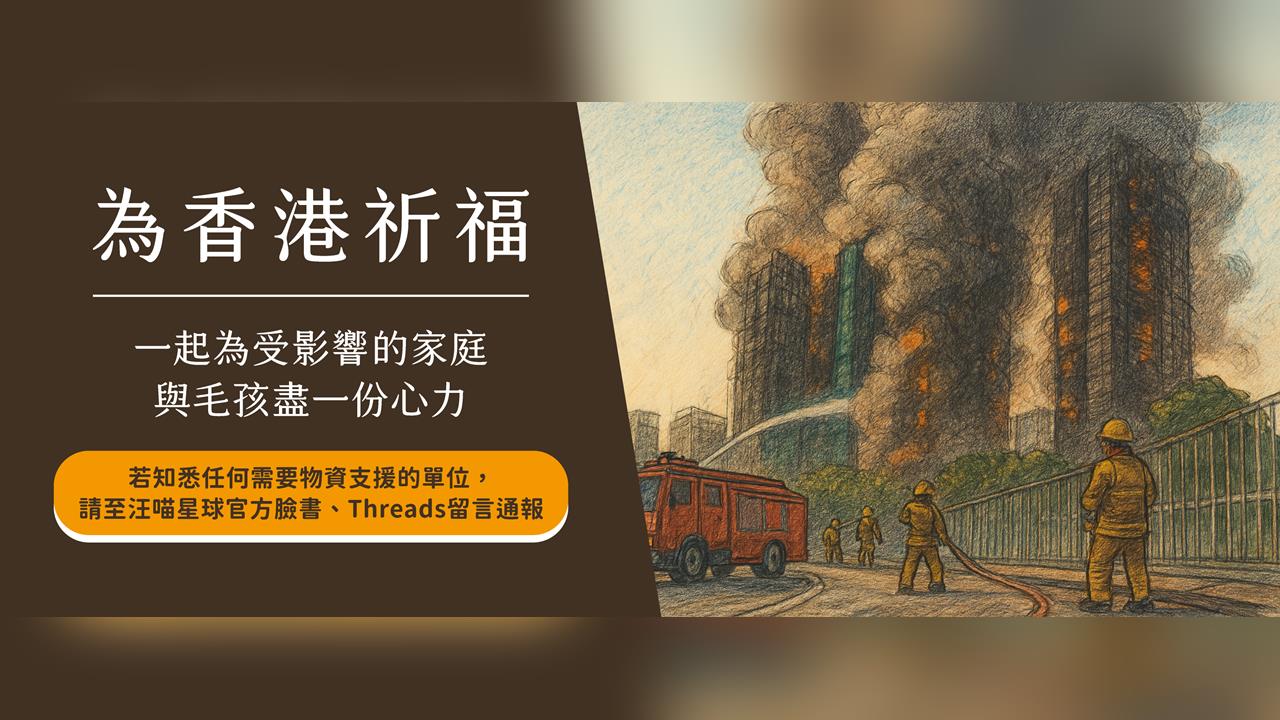 守護香港毛孩！汪喵星球啟動宏福苑受災寵物援助行動