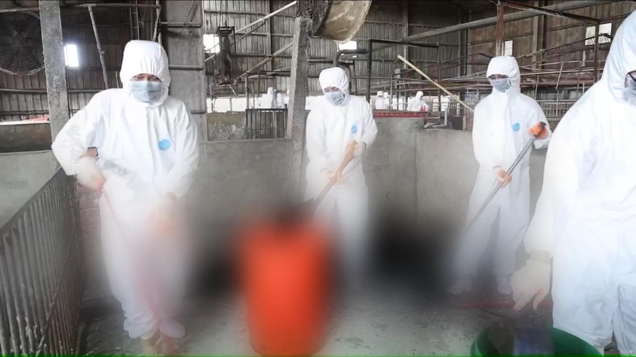 台中市府"私自清消"案場 陳駿季轟:自走砲.魯莽