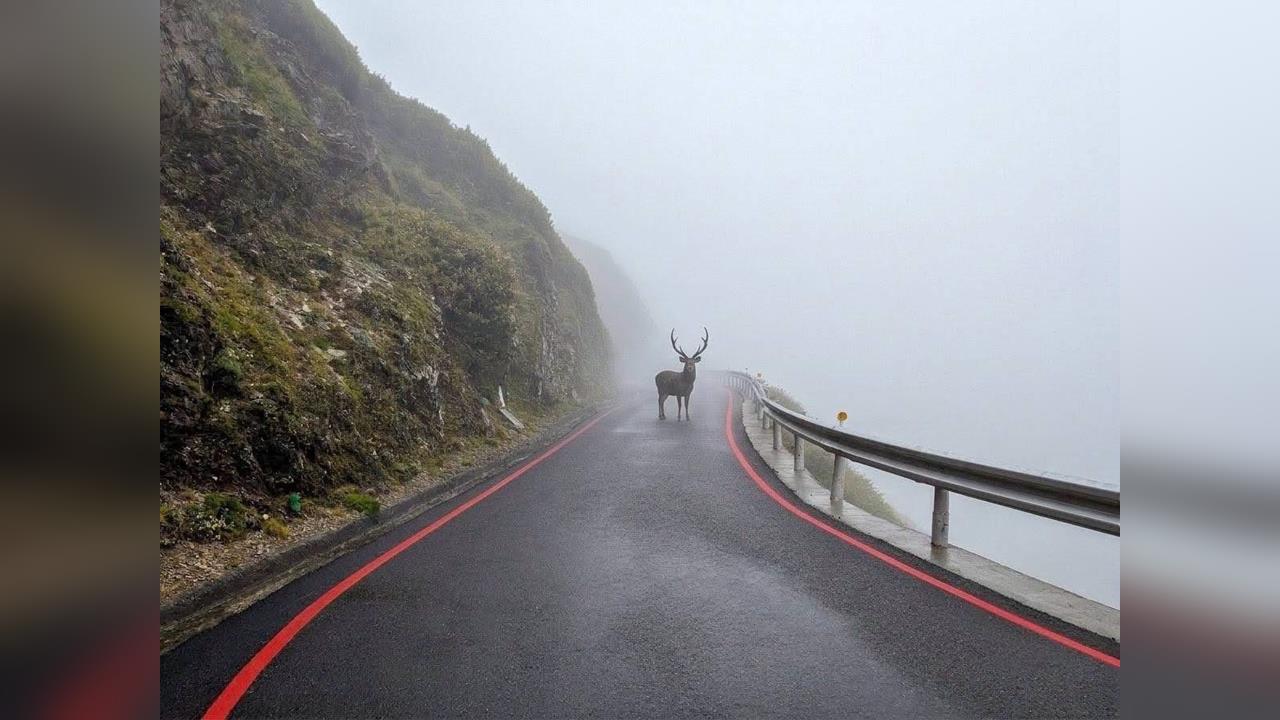 合歡山「山獸神」照片爆紅　翻車！粉專致歉：1張AI加工