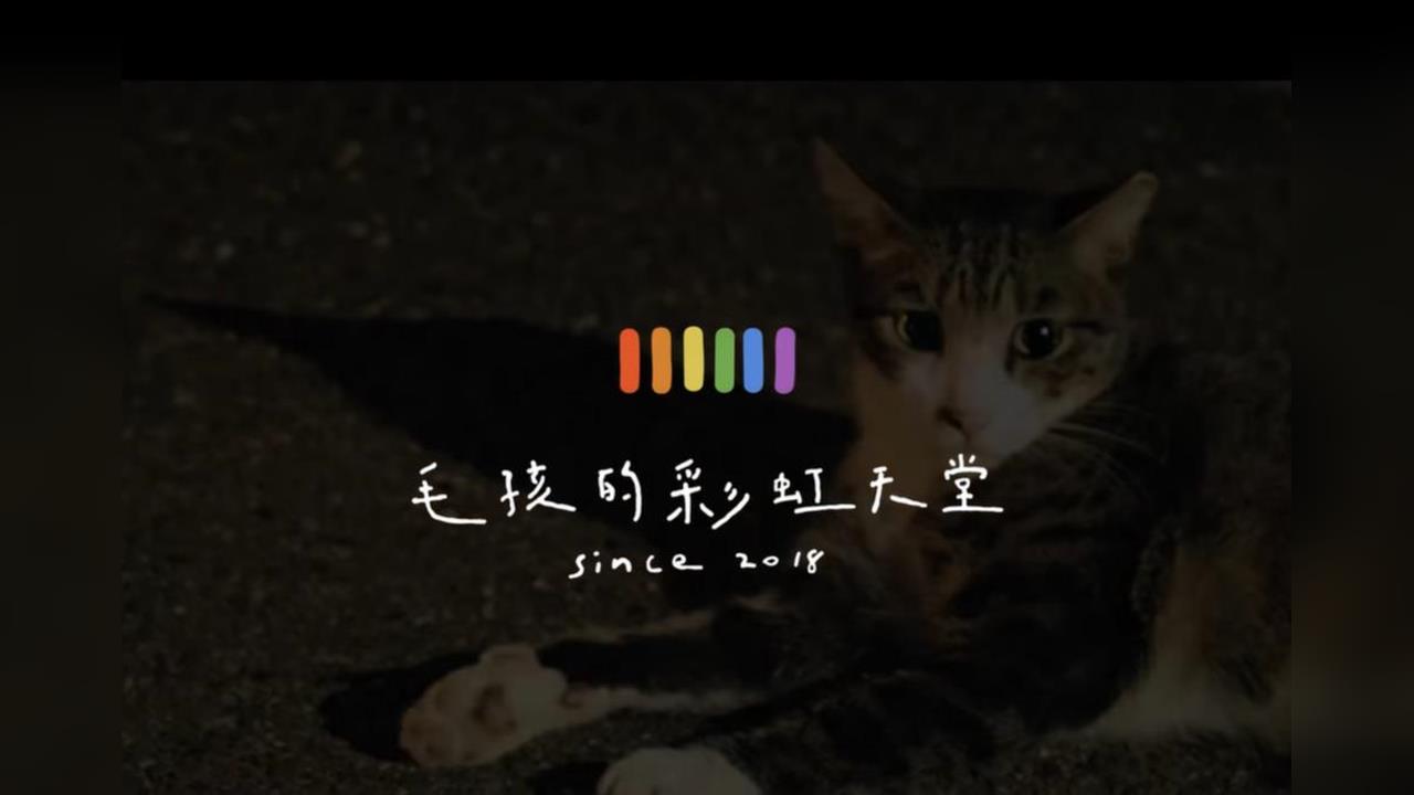 快新聞／確認身亡！「毛孩的彩虹天堂」負責人林意盛陳屍台中　家屬無異議