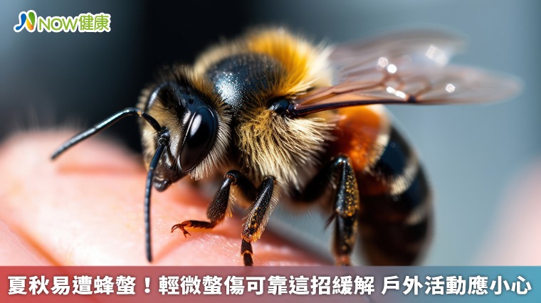 夏秋易遭蜂螫！輕微螫傷可靠這招緩解 戶外活動應小心