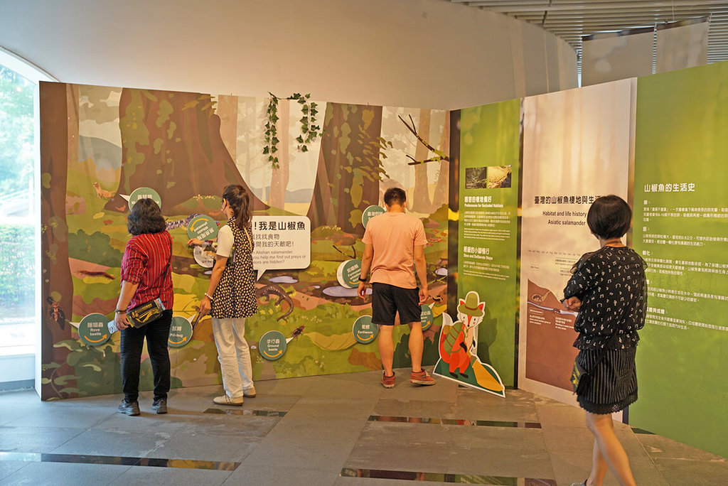 國資圖展出台灣山椒魚特展　一窺高山生態秘境