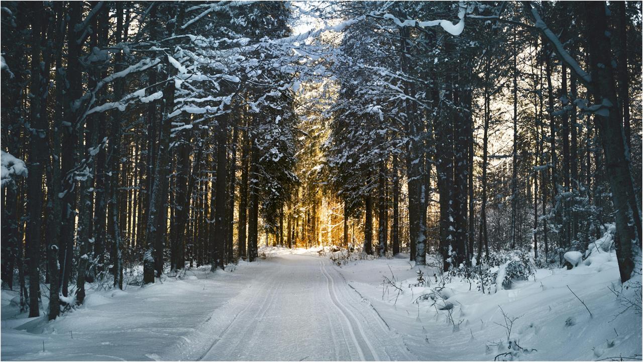明起小雪來臨「早晚溫差大」!醫親授3養生模式「早睡晚起」蓄積能量
