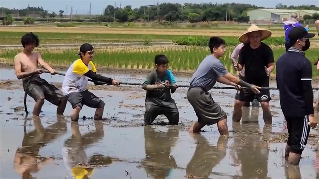 雲林「稻田運動會」　泥巴中拔河、相撲消暑又好玩
