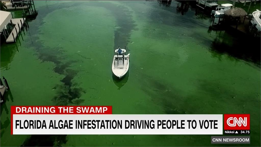 佛羅里達湖泊臭又髒！綠藻危機成選舉議題