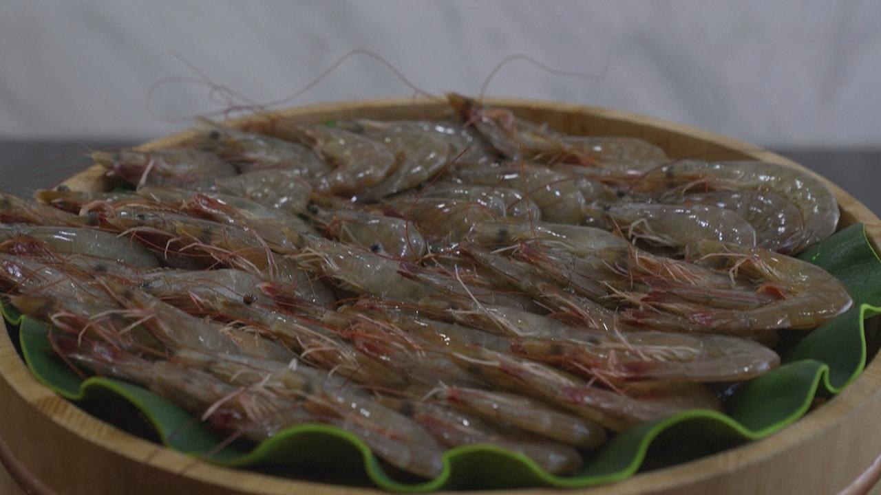 快新聞／親台新政策？宏國白蝦出口暴跌　當地媒體「封鎖台灣」突解禁了