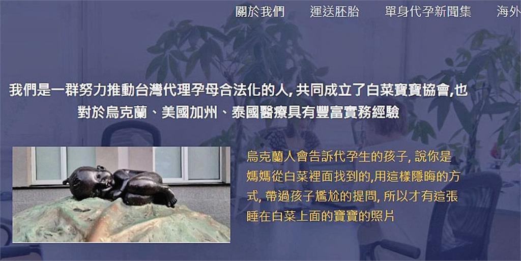 代孕名人爆斂財／收錢擺爛不辦事挾嬰兒當肉票　白菜寶寶協會遭控代孕蟑螂