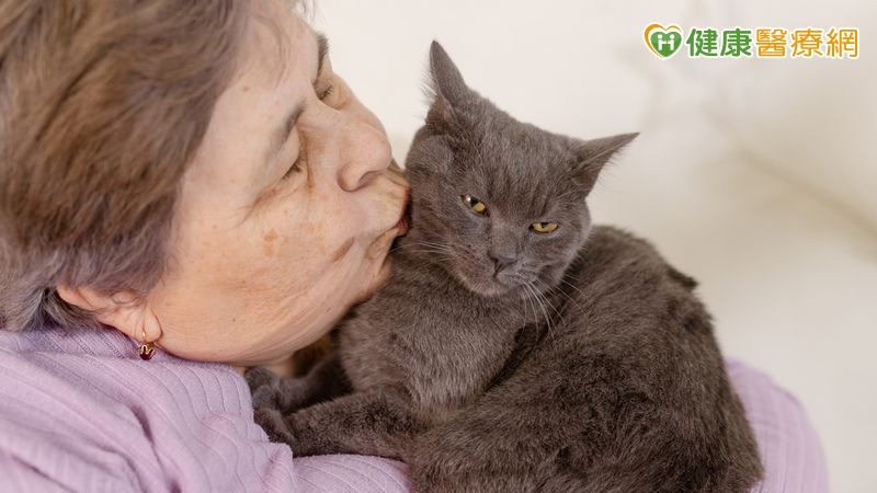 主人過世後貓咪誰照顧?「還有家人」不一定沒問題 這件事最好提前安排