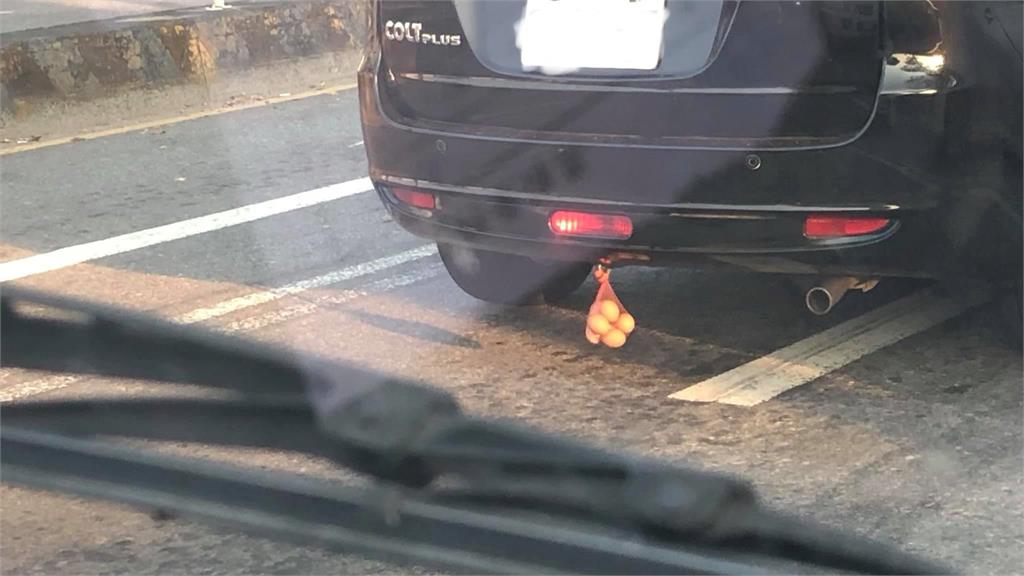 開車驚見休旅車「車尾掛雞蛋」！他問用途釣出內行曝「神秘真相」