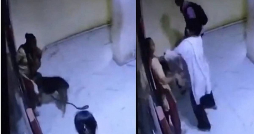 女等電梯被鄰居狗偷咬　嗆「管好你家寵物」秒遭飼主打巴掌