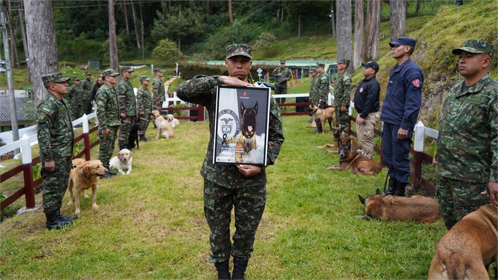 警犬救36名士兵、數百民眾重傷殉職!炸斷腿仍拚命爬回主人懷中…淚崩送別畫面曝