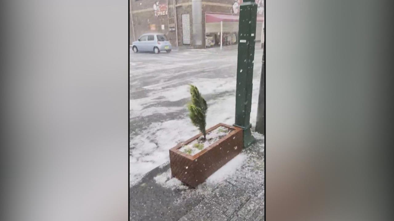 日本埼玉部分地區狂下冰雹　東京、神奈川等地第三級大雨警報