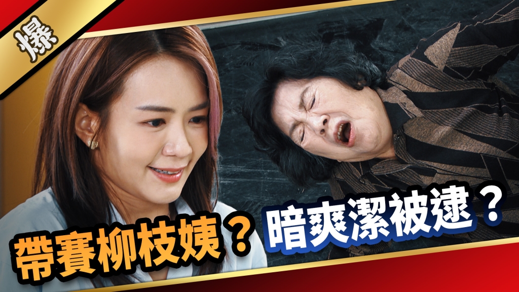 《愛的榮耀-EP242精彩片段》帶賽柳枝姨？ 暗爽潔被逮？