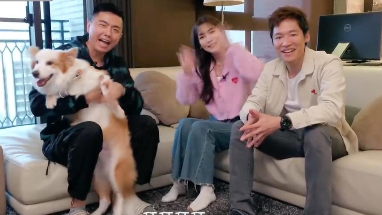 邊牧散步狂吠還暴衝咬人 訓犬師親授穩定技巧