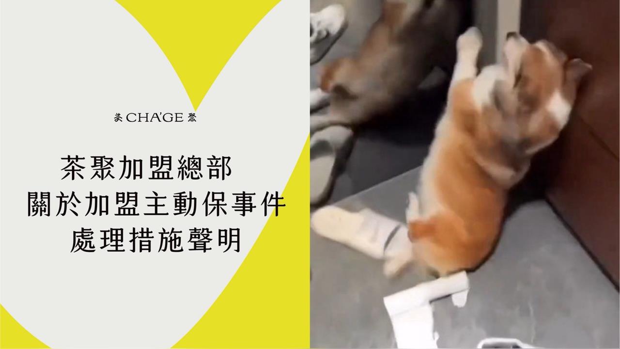 快新聞/茶聚加盟主虐15歲老柯基犬 總部最新聲明曝「永久終止合作+求償」