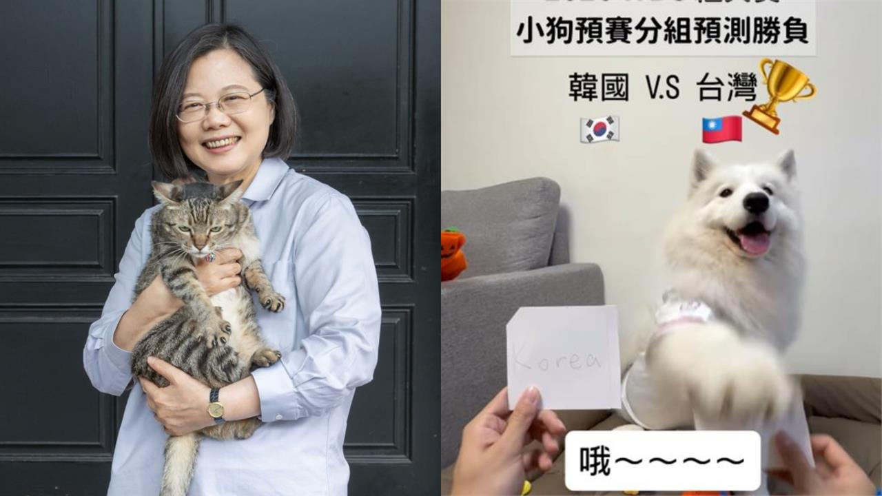 神犬薩摩耶「WBC全命中」獲總統級認證！蔡英文點名「玄學」親回11字