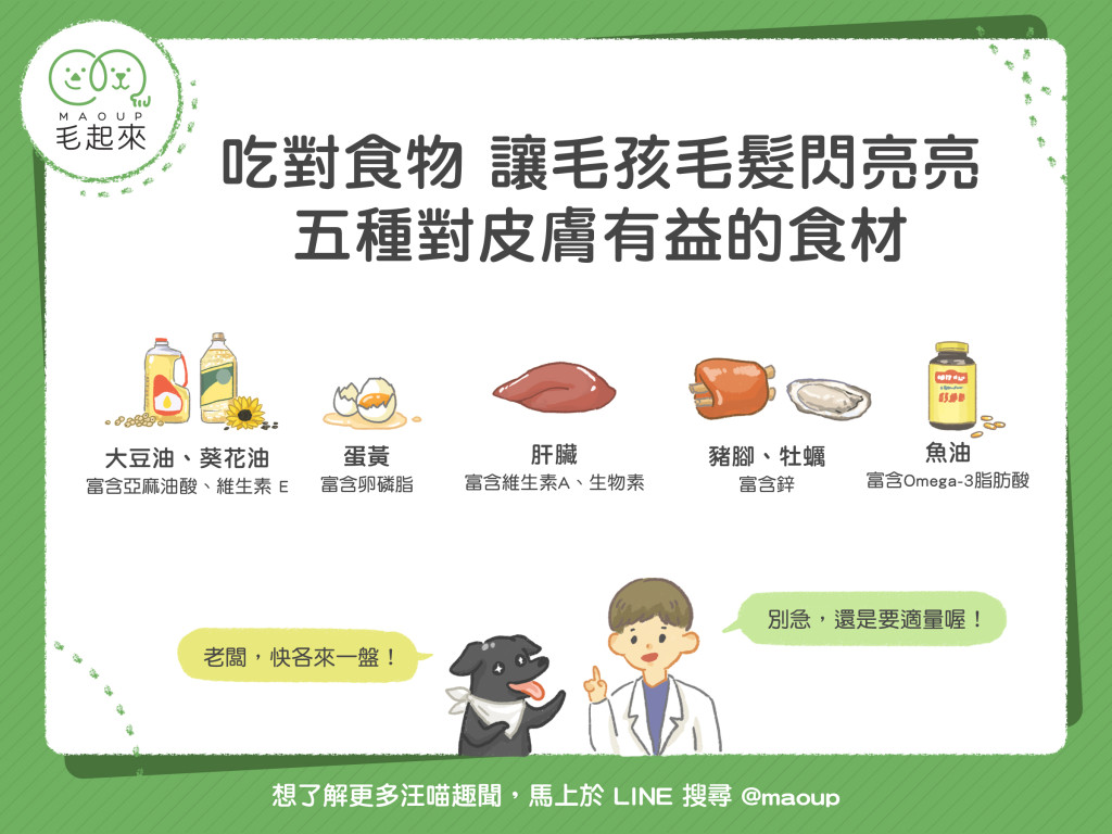 【汪喵餵養知識】吃對食物，讓毛孩毛髮閃亮亮！五種對皮膚有益的食材