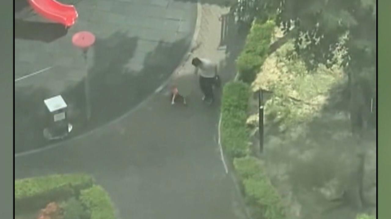 疑似虐童！　桃園某公園驚見父　「邊拉邊打」孩童引熱議