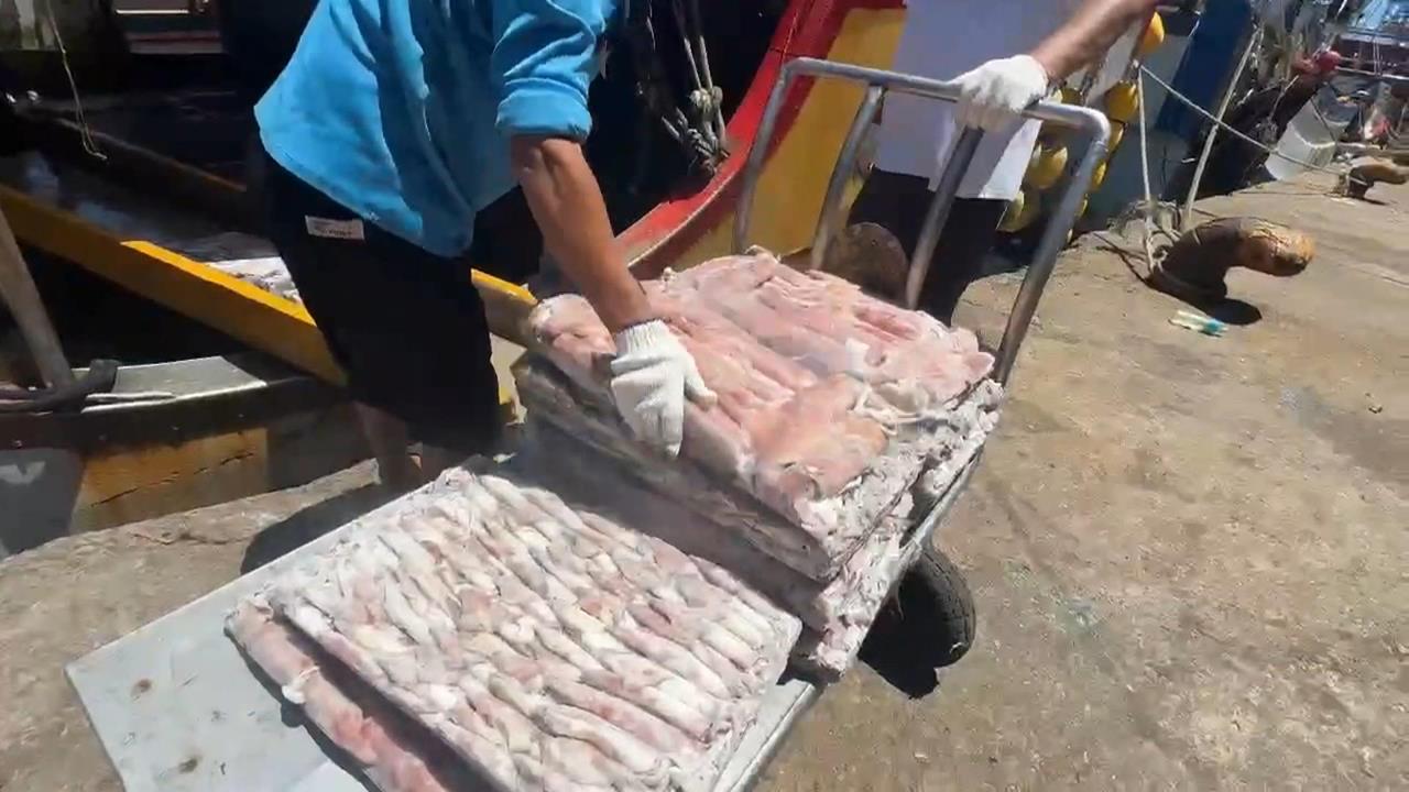 防颱大作戰　！　基隆正濱漁港忙卸貨、基隆港加固貨櫃