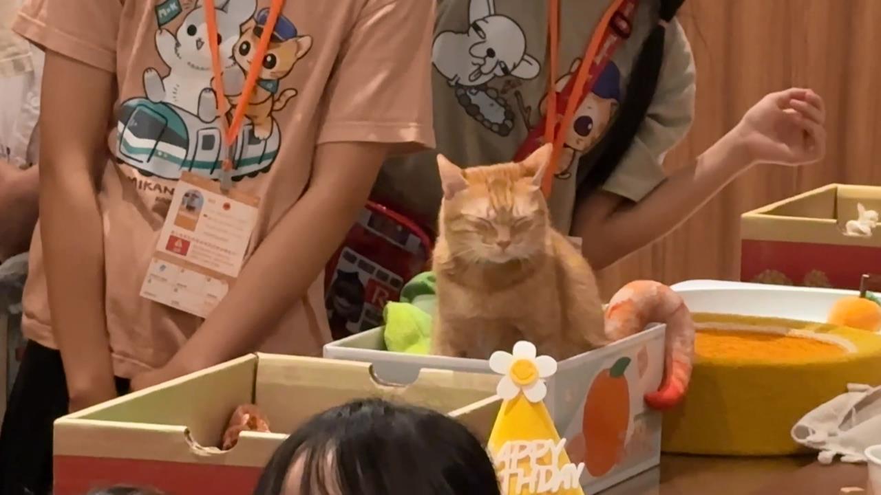 獨／蜜柑站長6歲生日辦粉絲見面會　高捷加碼做「這件事」與乘客同樂