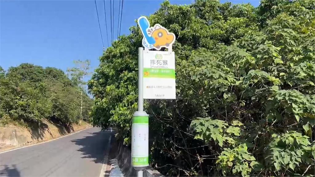 黃偉哲PO文驚見「摔死猴」　網歪樓熱議：是不是故意的？