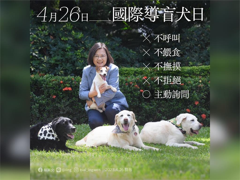 快新聞／國際導盲犬日！　蔡英文曬家中3隻退役犬及樂樂宣導「四不一問」