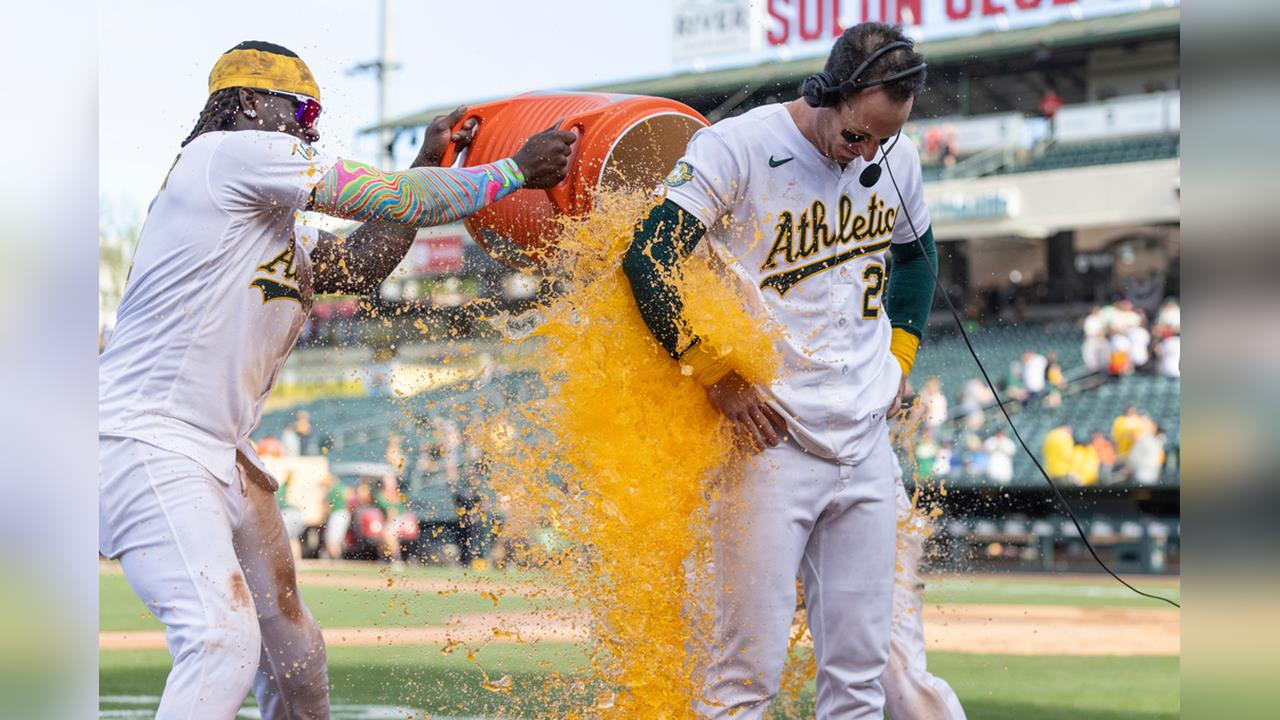 MLB(影)／再見逆轉三分砲！他雙響完成「百轟里程碑」 從邊緣人變重砲超勵志故事