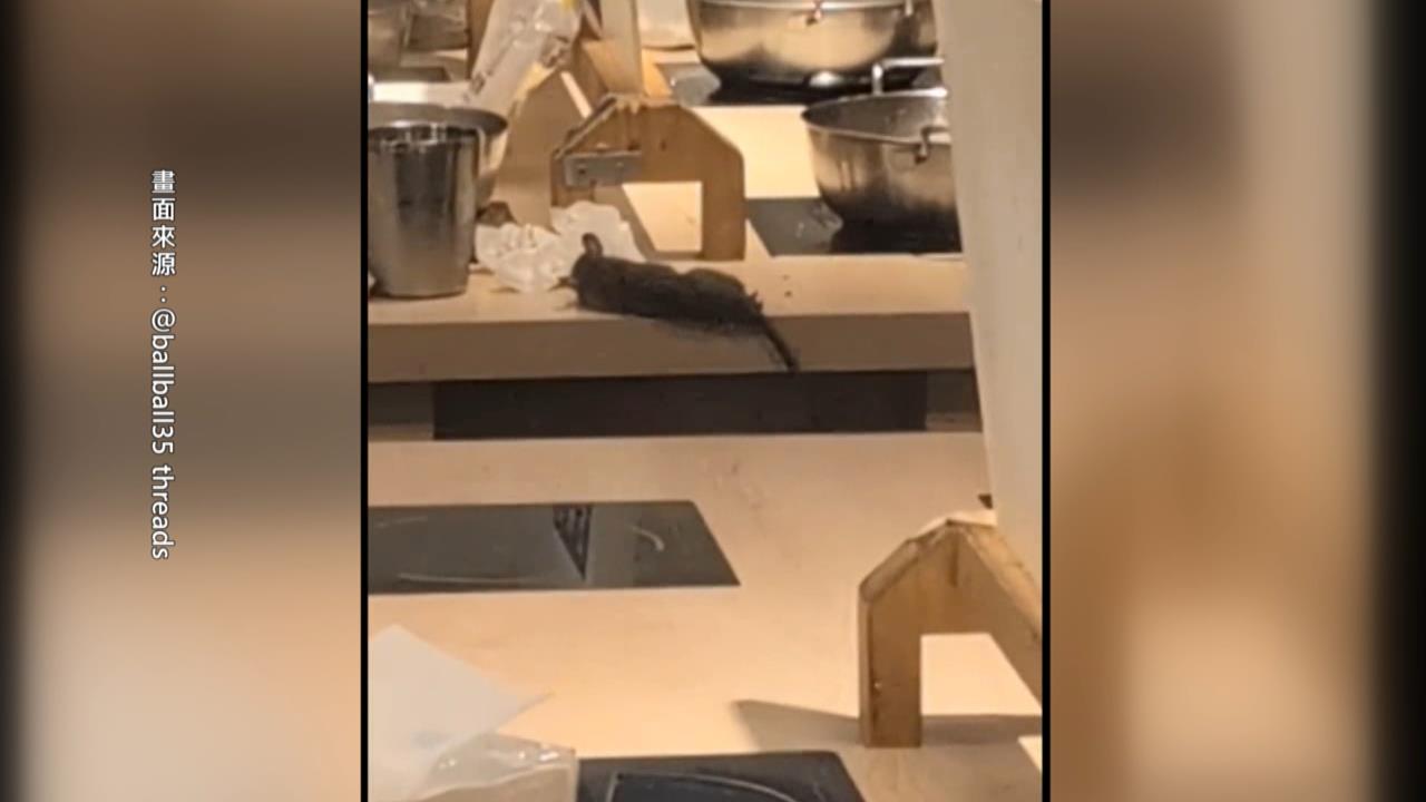 鼠亂!新莊棒球場老鼠球場狂奔 師大商圈鍋吃一半「鼠從天降」