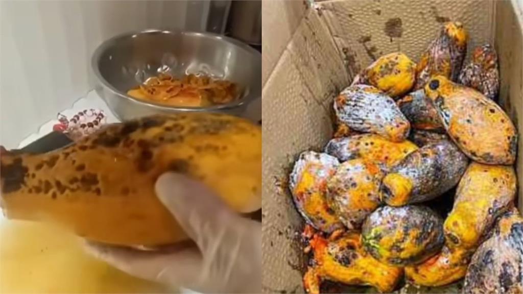 日春遭爆用「發霉爛木瓜」做飲品還要求不准丟　傳執行長過世業者回應了