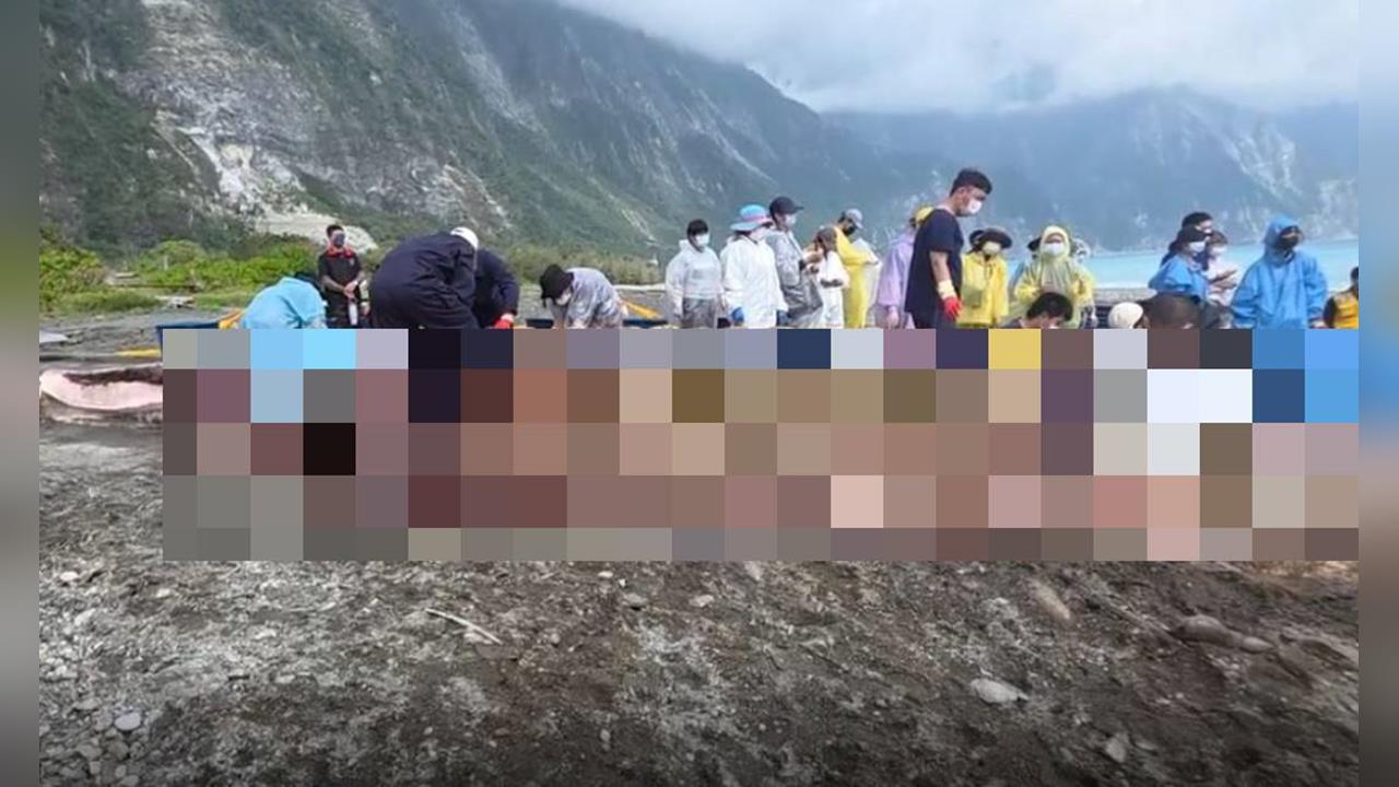 快新聞／花蓮外海解剖「15公尺」鯨豚死屍　肉體海拋、骨骼送科博館