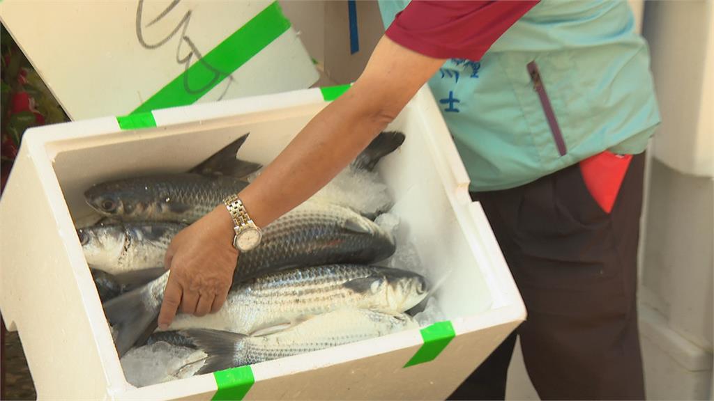 里民有口福了! 老里長大方送烏魚
