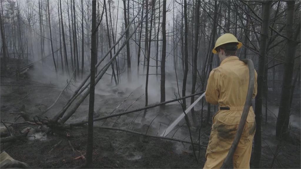 燃燒加拿大！　舉國超過500萬個足球場大林地被野火燒毀