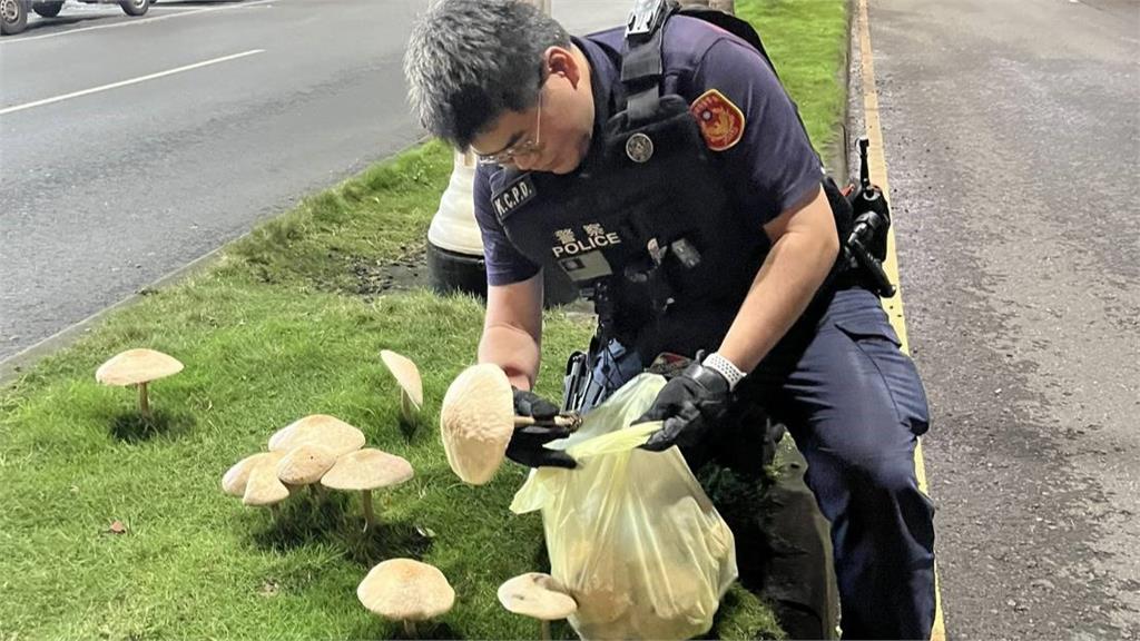 南部豪雨「下到刷1排大香菇」　民眾分隔島搶拍影響交通「警1次拔光」