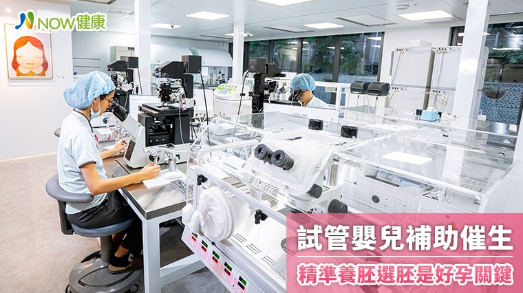 試管嬰兒補助催生 精準養胚選胚是成功關鍵