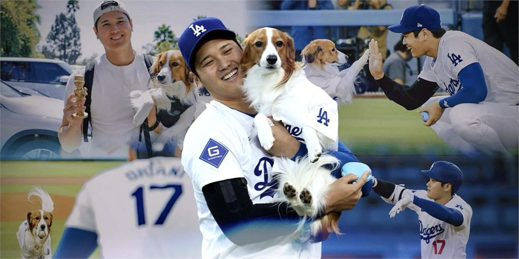 MLB(影)／大谷翔平竟在球場玩別人家的狗?　希望「彈額頭」沒有看到