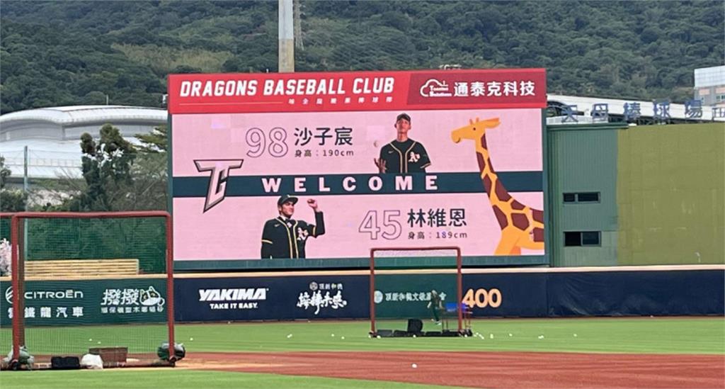 經典賽／沙子宸、林維恩台灣隊報到 陳傑憲感冒痊癒歸隊訓練