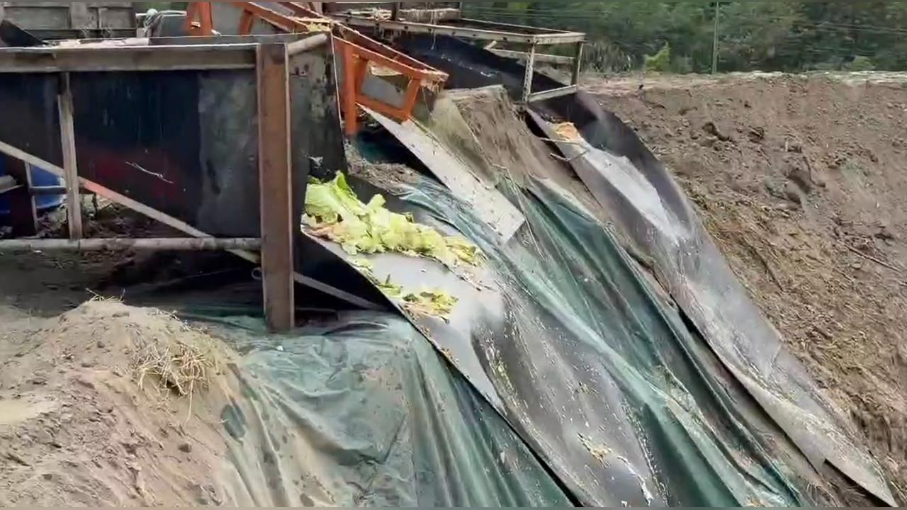 稽查"廚餘養豬場"倒數第二! 綠議員怒批中市府:太廢