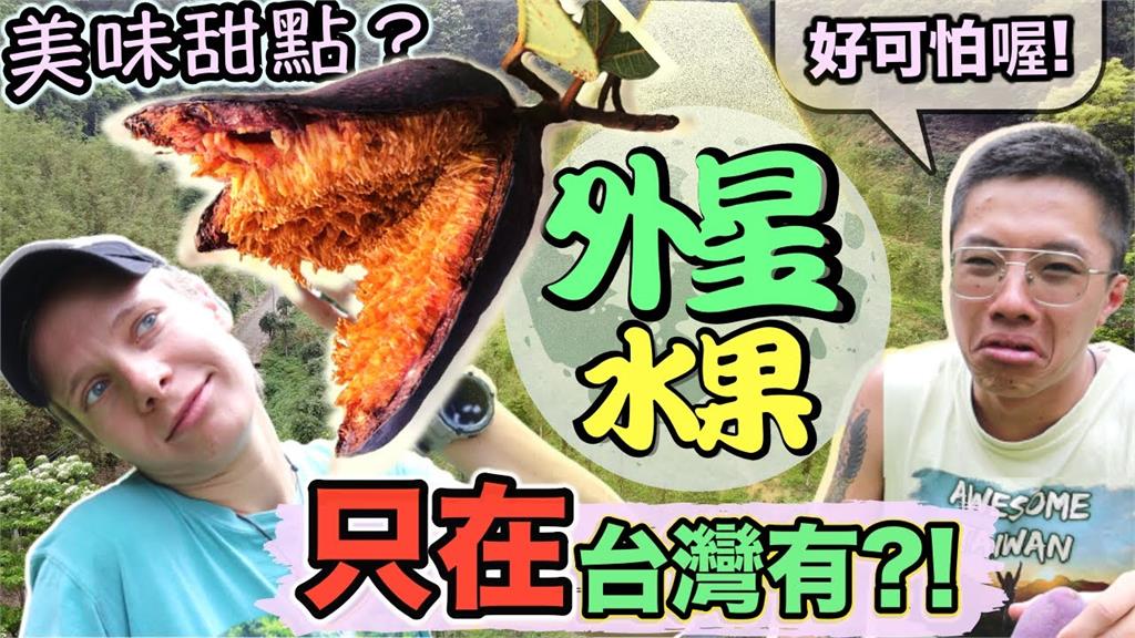 全球獨家限定！最狂古早味美食「愛玉」身世大公開　竟是台灣特有種