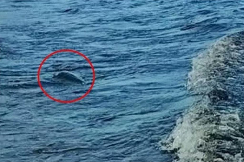 疑似尼斯湖水怪「水面下吐泡泡」遭直擊　世紀謎團再掀波瀾
