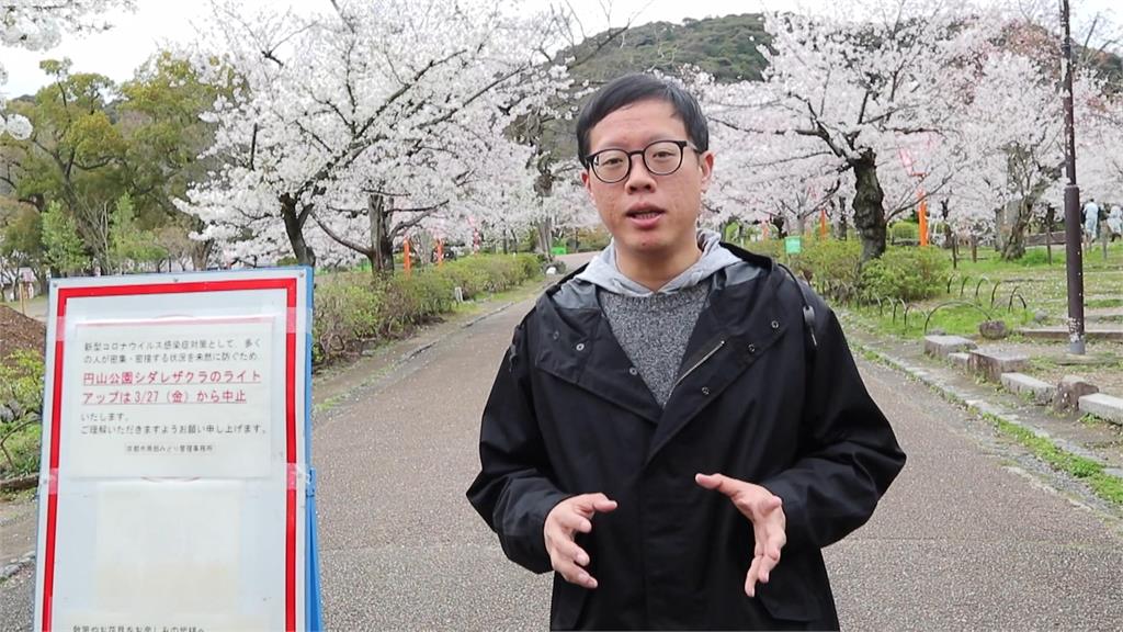 日本京都櫻花季嘸人 觀光業大受影響