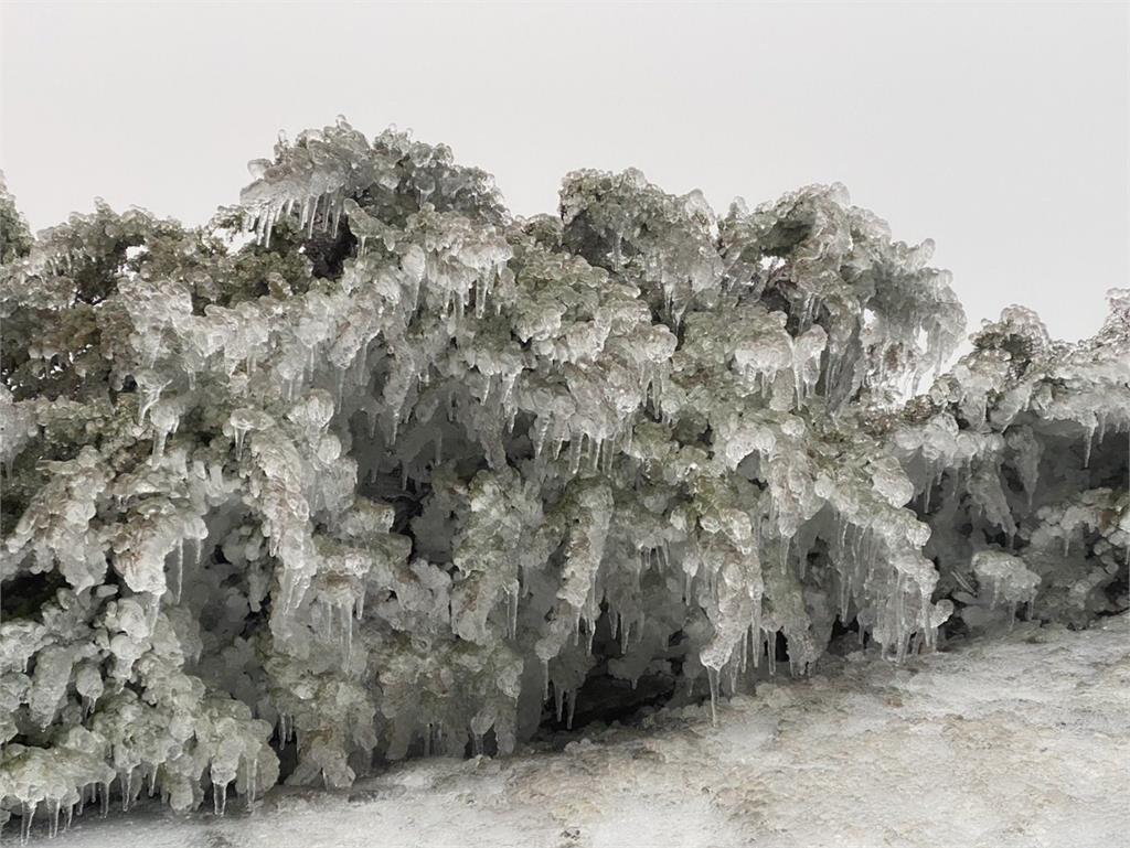 玉山清晨-2.8度！山頭「一夜凍雨」現冰封美景氣象署：比下雪危險