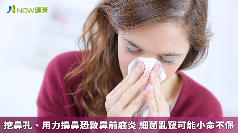 挖鼻孔、用力擤鼻恐致鼻前庭炎　細菌亂竄可能小命不保
