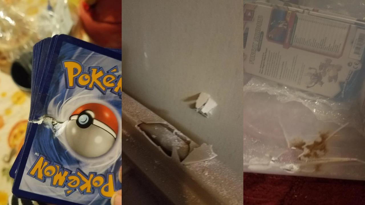 《寶可夢》化身現實版守護神！鄰居亂開槍「這張卡牌」擋下9毫米子彈