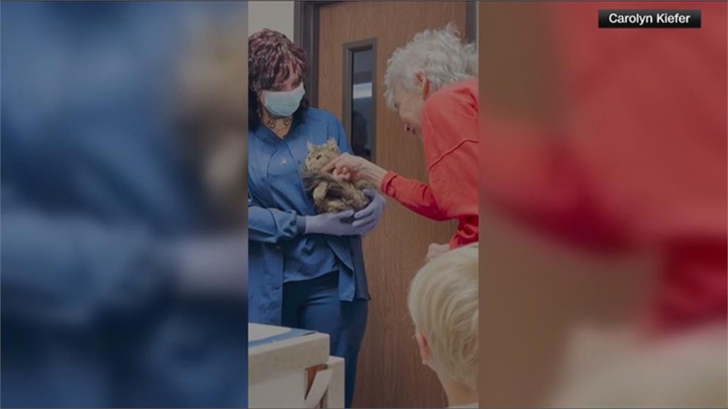 加州野火「緬因貓走失」　飼主急尋2個月終於重逢