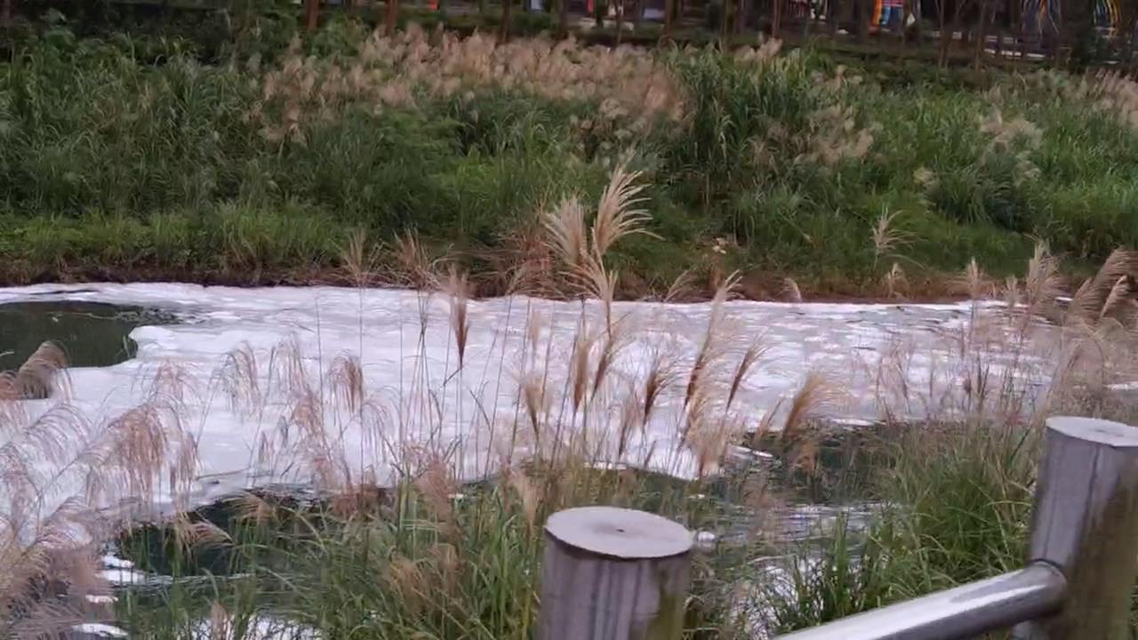 基隆河油污事件不到一個月　「暖暖溪」爆冒白色泡沫