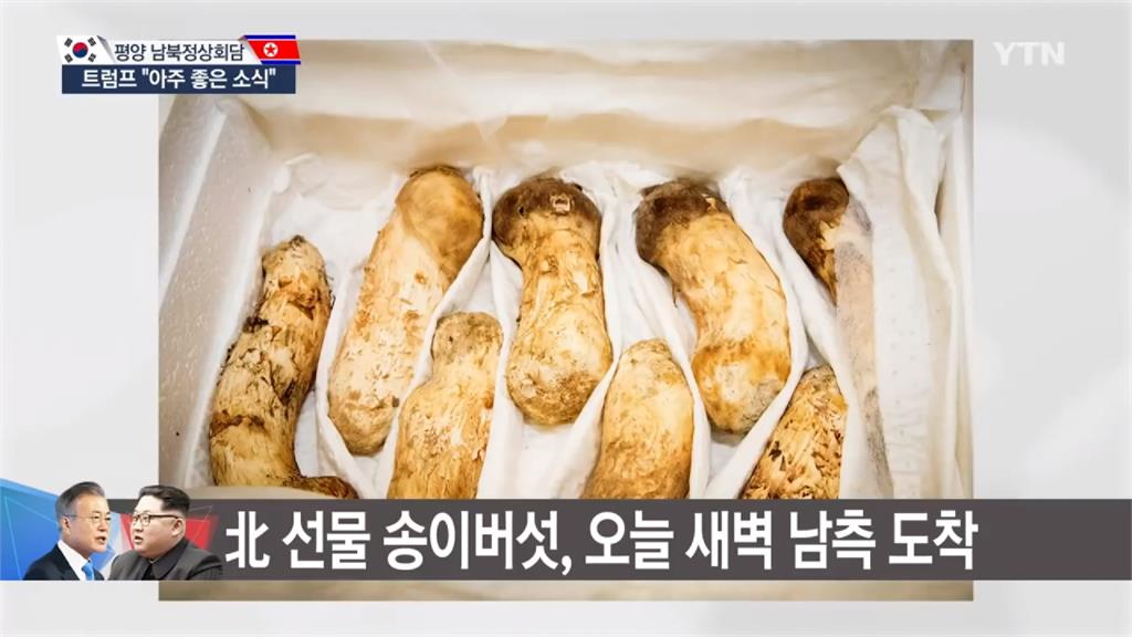 金正恩送大禮 兩噸松茸要贈離散家庭