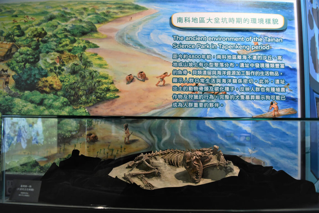 台灣史前人群生活　南科考古館發現第一人特展中