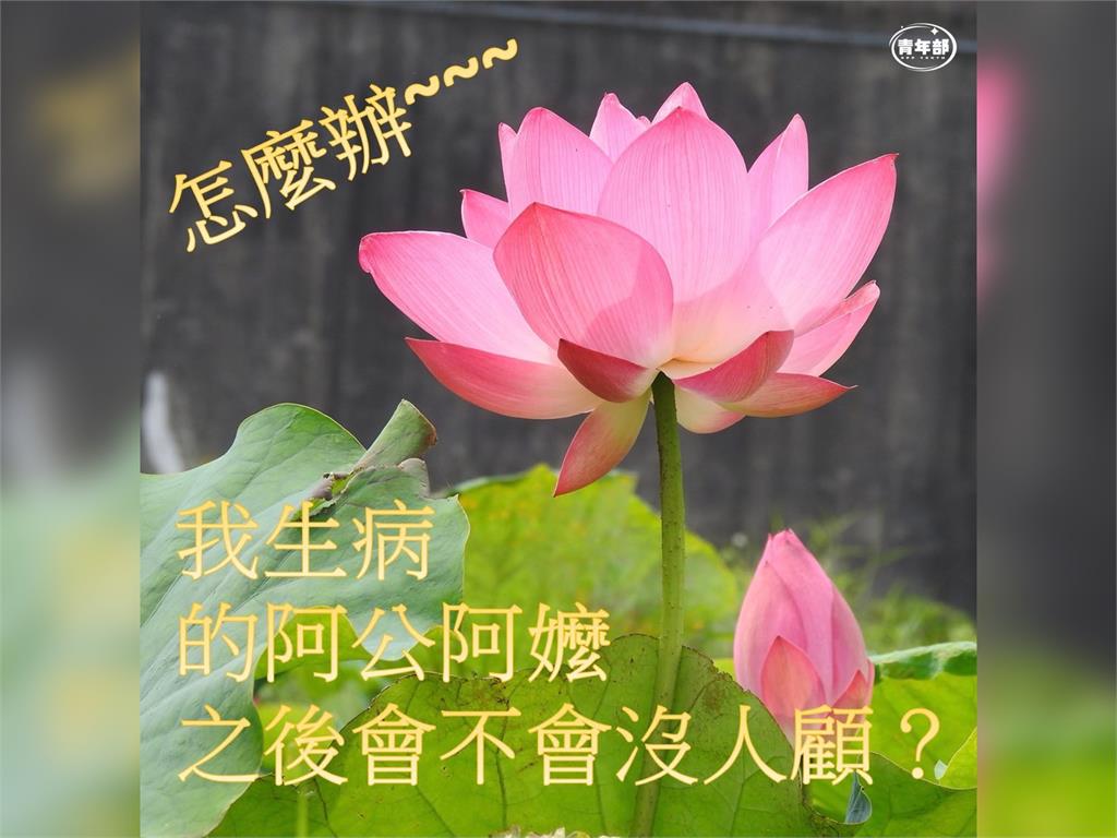 快新聞／藍白強推80歲免評巴氏量表　綠青年部憂：生病長輩會不會沒人顧？
