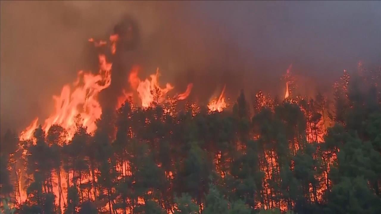 恐遇40年來最強「聖嬰」！　全球天災不斷　巴拿馬運河乾涸