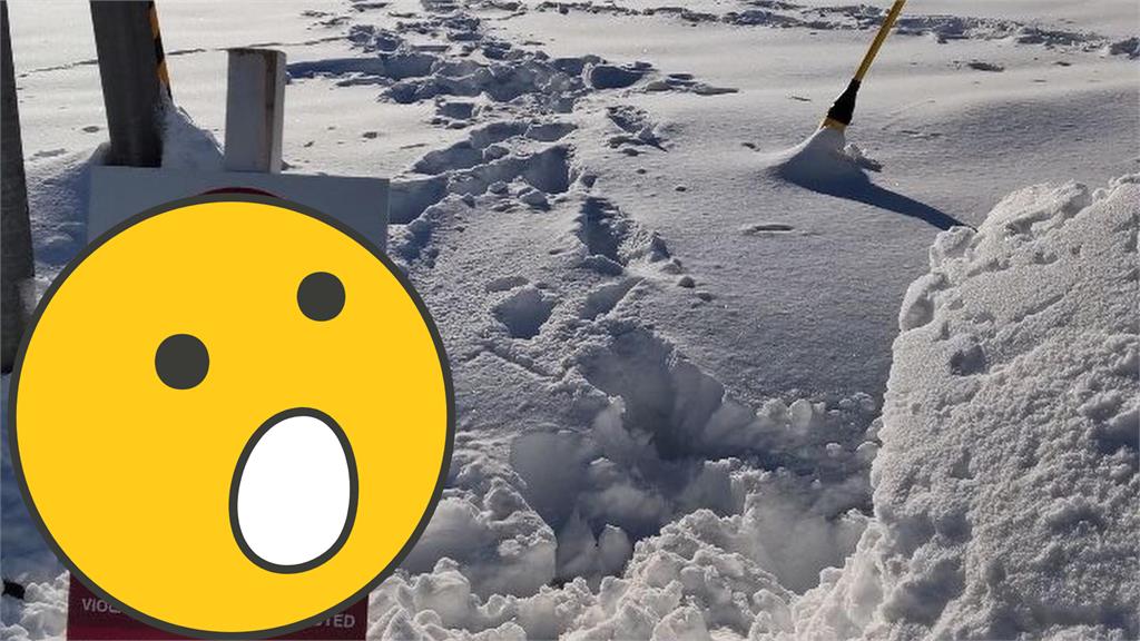旅客在北海道雪地「踩1腳」恐遭法辦？日方警告：此行為將釀上億損失